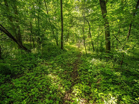 5th image of 0 German Ridge Rd