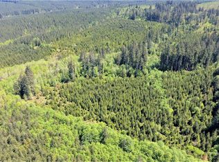 0 Paine Rd, Castle Rock, WA 98611