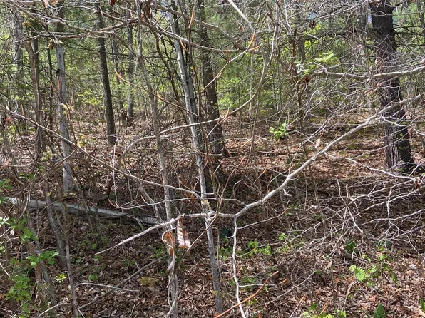 23 Crepe Myrtle Dr, Leicester, NC 28748