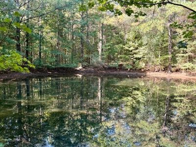 0 Elrod Rd, Elrod, AL, 35458