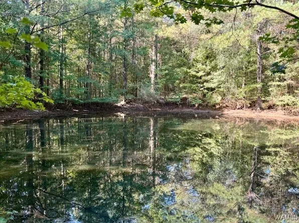 0 Elrod Rd, Elrod, AL 35458