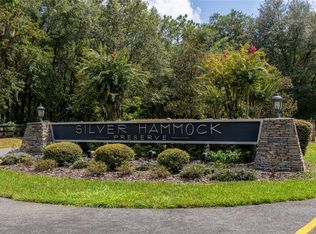 6161 NE 43rd Lane Rd, Silver Springs, FL 34488