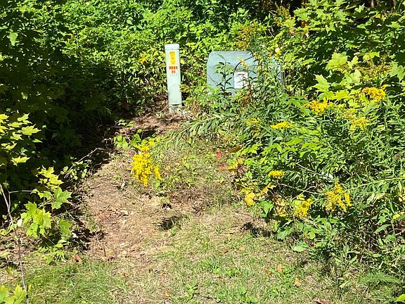 3rd image of 6814 Little Long Lake Ln