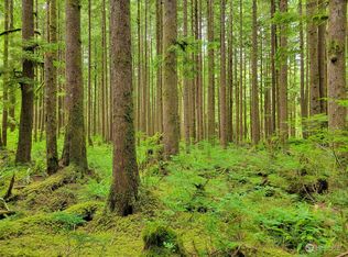 0 Benson Creek Rd, Granite Falls, WA 98252