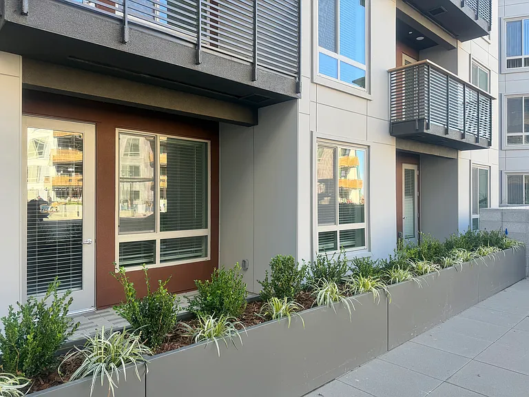 Blue Oak Square — Photo 28