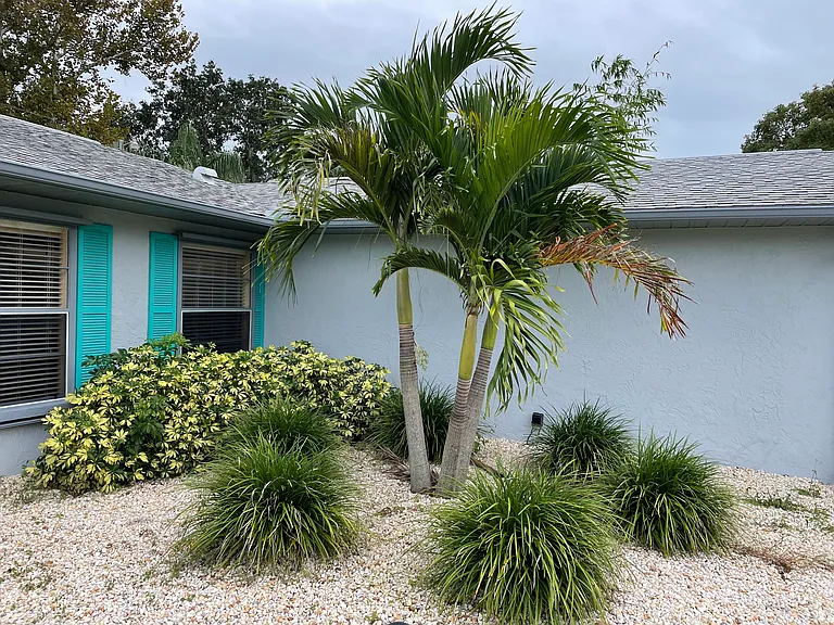 2219 Umbrella Tree Dr — Photo 20