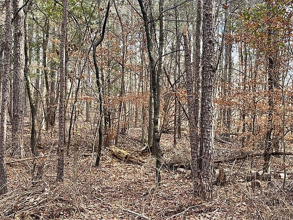 3rd image of LOT 740 Fairway Ln