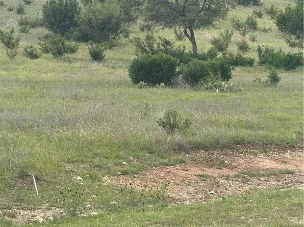 3013 Cottonwood Mesa Dr, Kempner, TX 76539