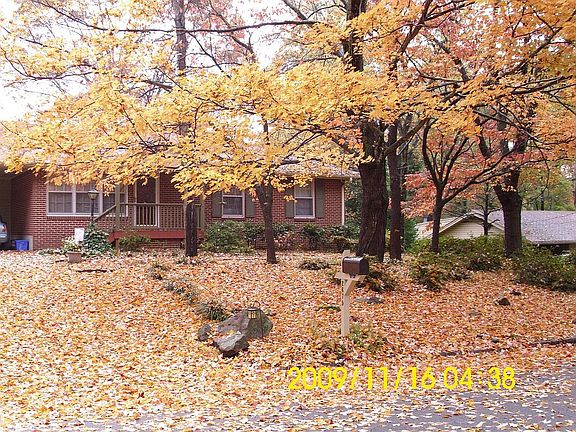 Fall 2010