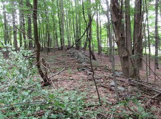 L11 Barker Road, Edinburg, NY 12134