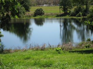 12136 Hull Rd, Clermont, FL 34711