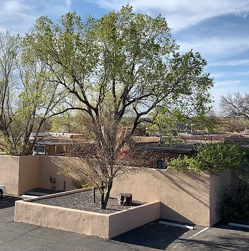 1012 Marquez Pl #208B Photo 1