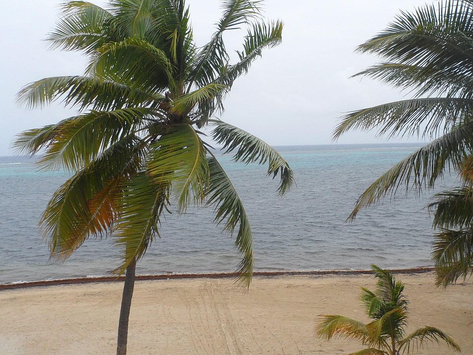1st image of 315 Sugar Beach