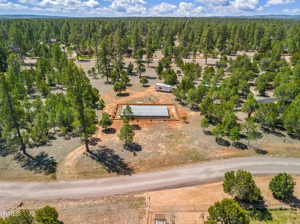 1989 CHRISTMAS PINE Circle #20, Overgaard, AZ 85933