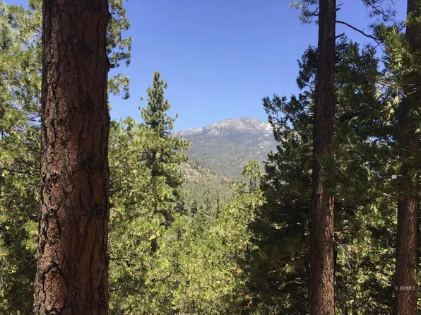 Middle Rdg, Idyllwild, CA 92549