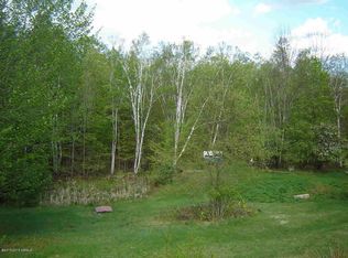 882 14th Rd, Minerva, NY 12851