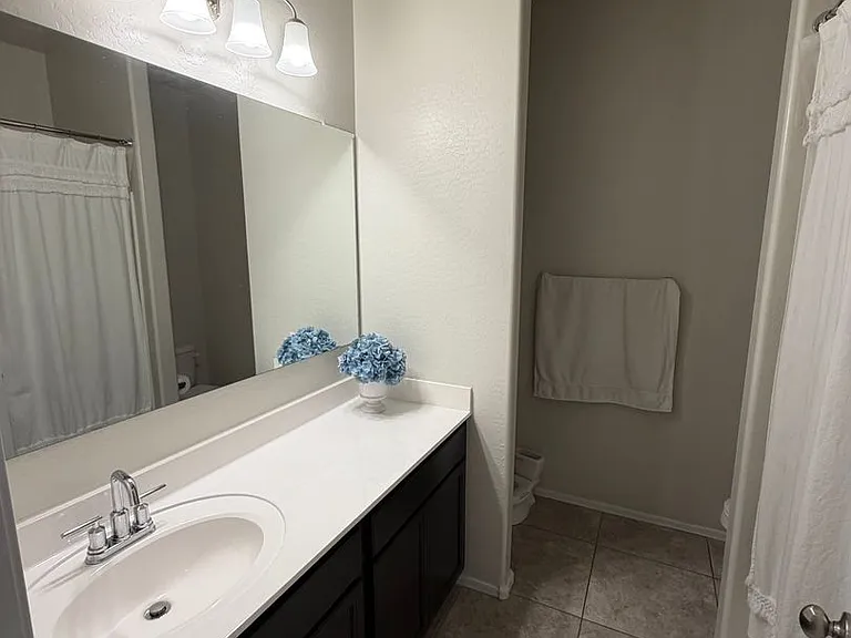 3509 N 309th Dr — Photo 10