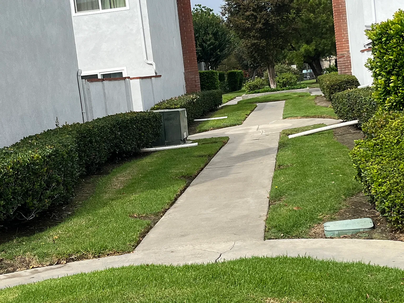 4 bed, 1440 sqft, $3,600 — Photo 3
