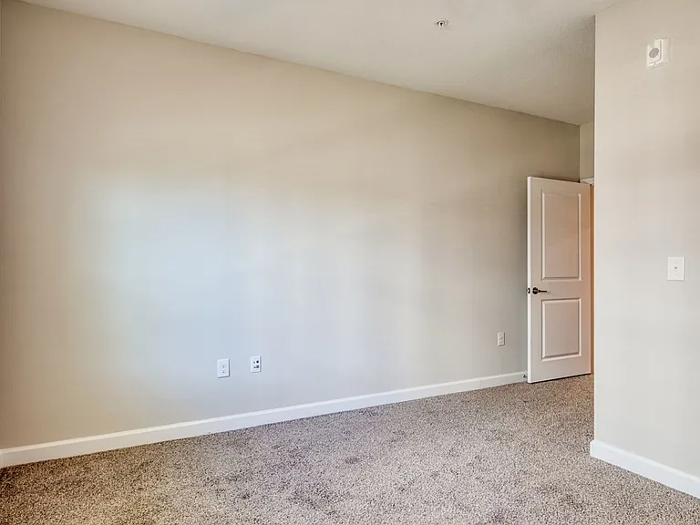Austin Woods — Photo 11