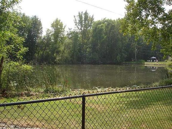 Pond View