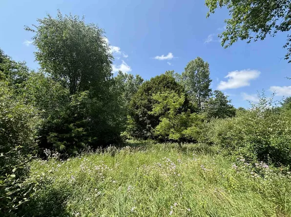 V/l 10a Gale Rd, Morrice, MI 48857