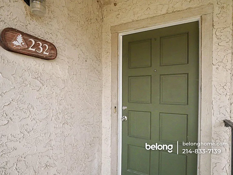 232 Shady Lane Dr — Photo 15