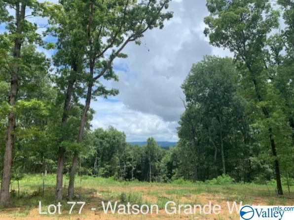 44 Watson Grande Way, Owens Cross Roads, AL 35763
