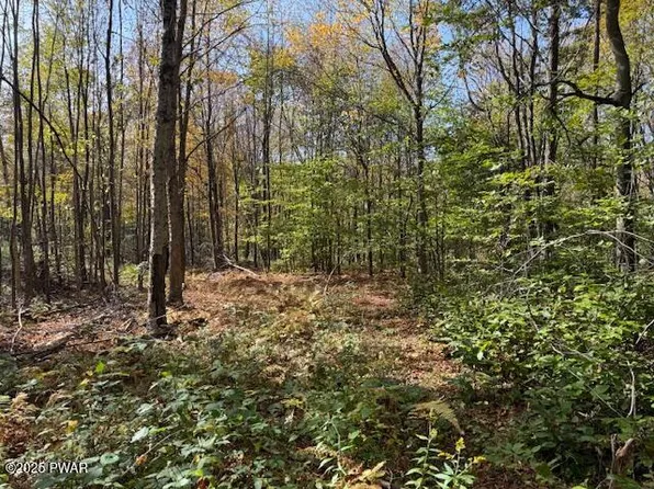 Fairmont Rd, Starrucca, PA 18462