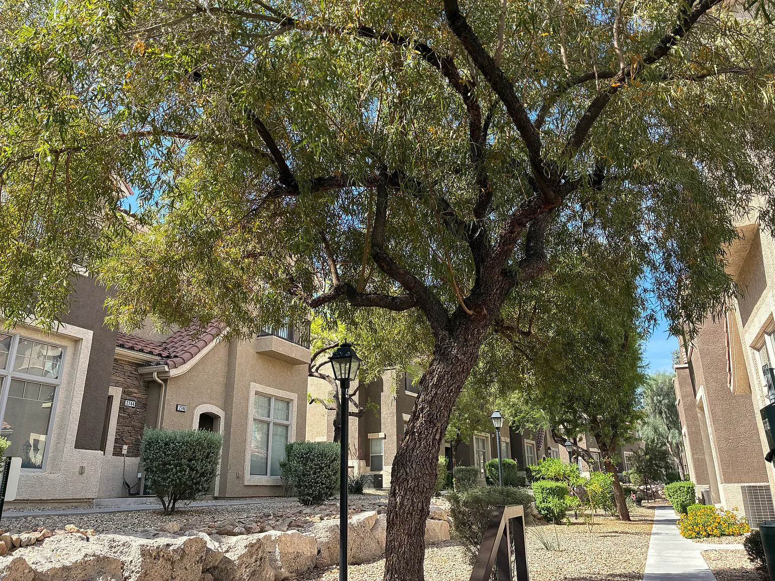 2753 Fountain Ridge Ln NV — Photo 2