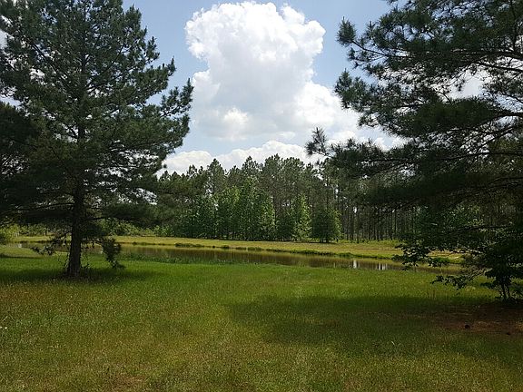 2nd image of 7346 Twisted Oak Cir