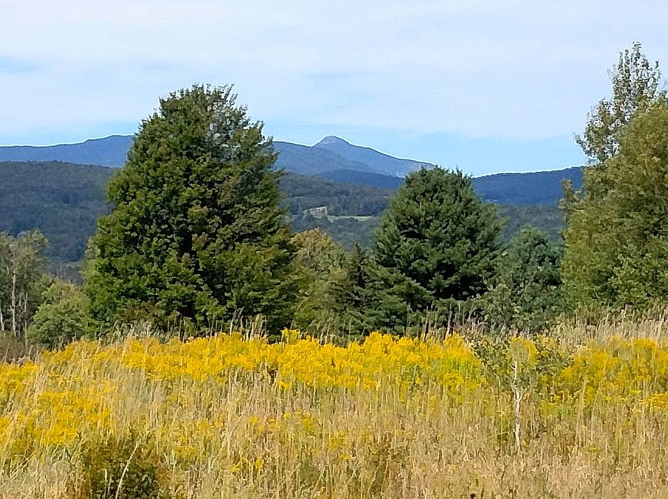 2nd image of 0 East Rd