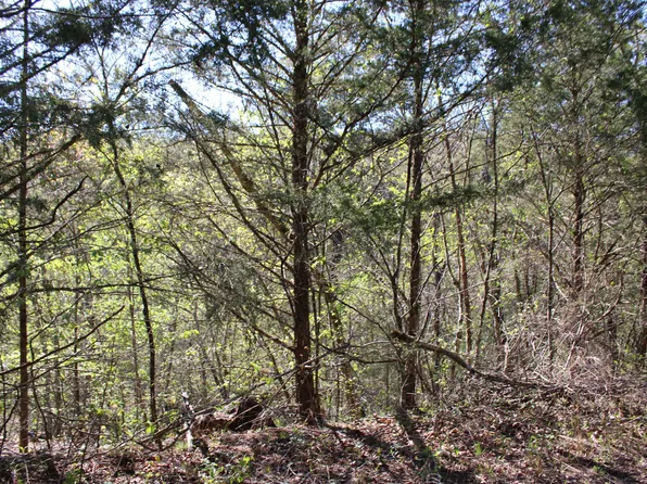 Lot #25 Gumbo Woods, Shell Knob, MO 65747