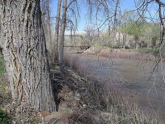 2nd image of 15835 Black Bridge Rd