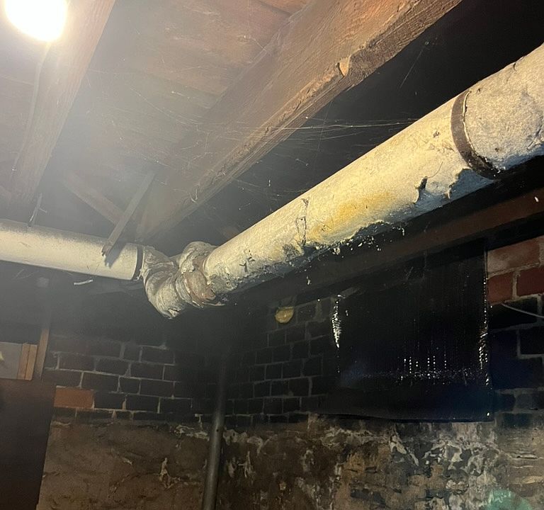 UNDER MASTER BEDROOM - NO BARRIER - CHUNKS OF ASBESTOS FALLING IN MOLDY MYCOTOXIN WATER