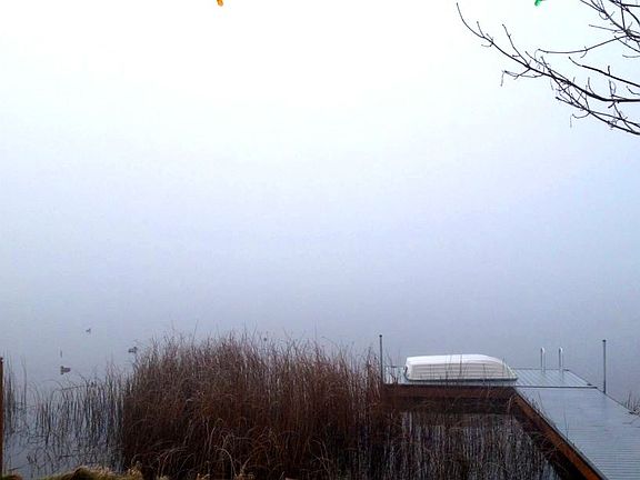 foggy lake