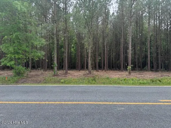 2 Great Swamp LOT 2, Ernul, NC 28527