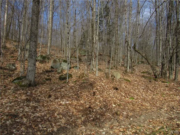 Capron Rd W Lot 42, Forestport, NY 13338