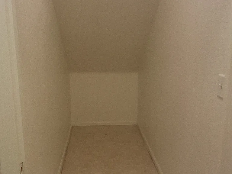 Crawl space underneath stairs