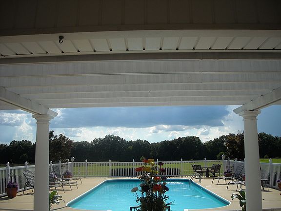 Patio and Pool