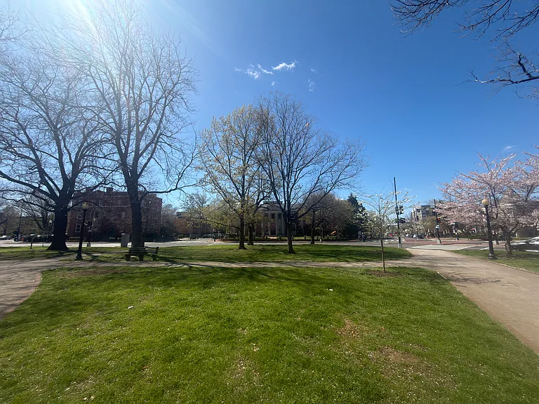 512 Constitution Ave NE #B — Photo 24