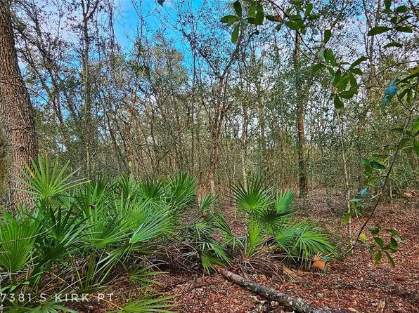 7381 S Kirk Point Lot C0, Lecanto, FL 34461