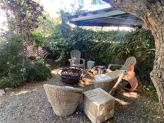 front garden (2025)