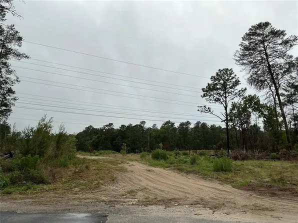 16914 SW 44TH CIRCLE LOT 61, OCALA, FL 34473