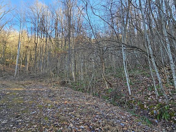 5th image of LOT 30 Grand Country Dr