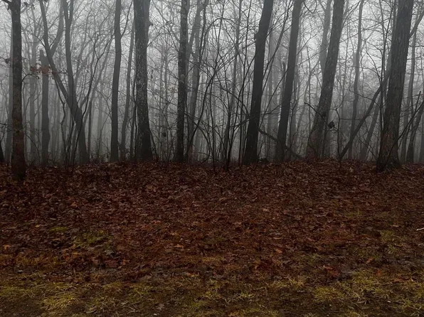 Running Deer, Crab Orchard, TN 37723