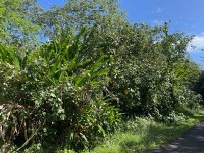 N Ohiki St, Pahoa, HI, 96778