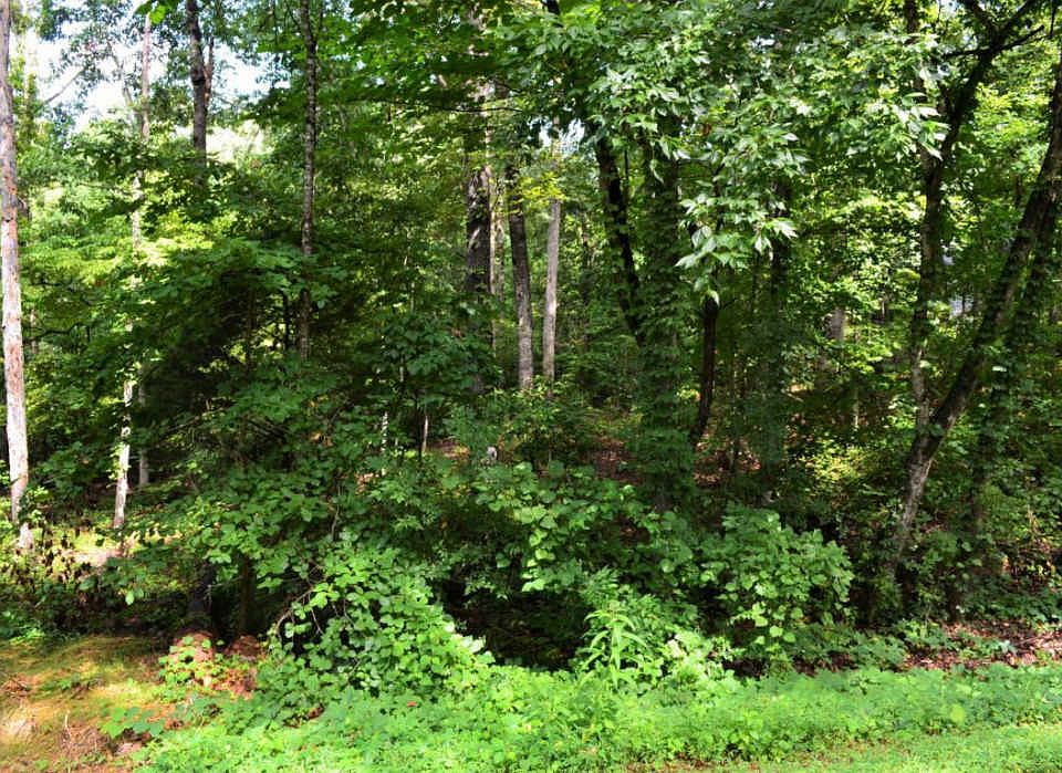 2nd image of 105 Daleyuhski Way