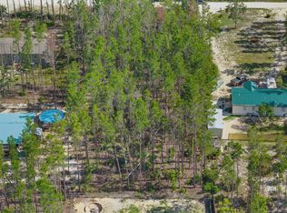 Oak Pond Ln NE, Steinhatchee, FL 32359