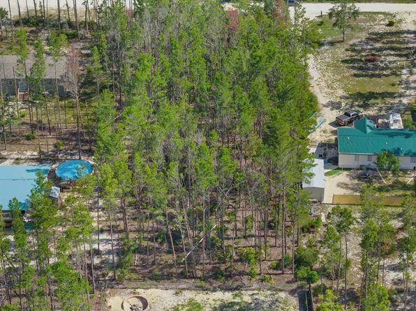 NE Oak Pond Ln, Steinhatchee, FL 32359