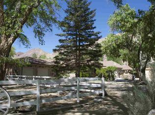 59 Hoye Canyon Rd, Wellington, NV 89444